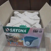 سرخ کن با روغن