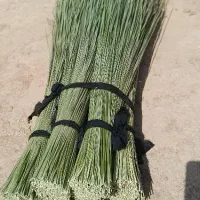 جارو|فعالیت داوطلبانه|شوشتر, |دیوار