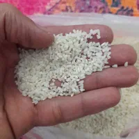 برنج نیم دانه هاشمی