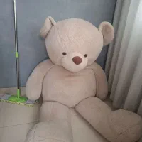 خرس خیلی بزرگ تمیز و در حد نو خارجی