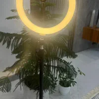 رینگ لایت