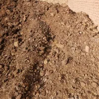 کودگاوی|خدمات باغبانی و درختکاری|طاغنکوه, |دیوار