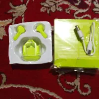 هرپاد اصلی تای پسی