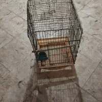 قفس‌بزرگ