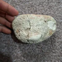 فسیل