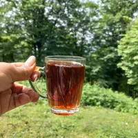 چای بهاره ی گیلان(املش)|خوردنی و آشامیدنی|تهران, تهرانپارس غربی|دیوار