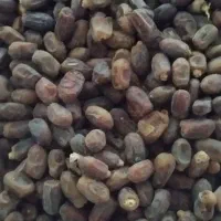 خرمااستعمران