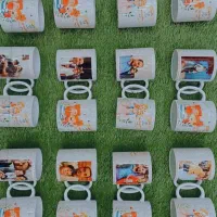 چاپ روی انواع محصولات فانتزی|خدمات رایانهای و موبایل|تربتحیدریه, قائم|دیوار