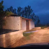 باغ مرکبات|فروش زمین و ملک کلنگی|خوش‌رودپی, |دیوار