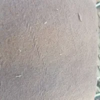 موکت قهوه ای