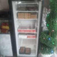 فریزر ایستاده