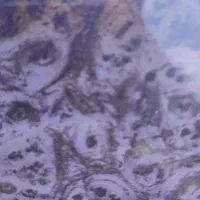 چادر مسافرتی