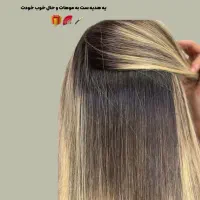 آموزش کراتین پروتین بوتاکس...|خدمات آموزشی|کوهدشت, |دیوار