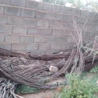 سیخو فنری 5متری