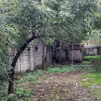 اجاره خانه ویلایی در طاهرگوراب (کد 1163)|اجارهٔ خانه و ویلا|فومن, |دیوار