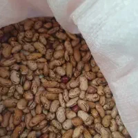 لوبیا چیتی قرمز کیلویی۲۰۰