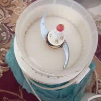 مولینکس مه نیک|خردکن، آسیاب، غذاساز|رشت, حمیدیان|دیوار