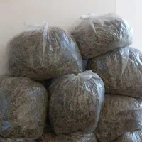 آویشن تازه