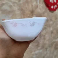 آرکوپال|ظروف سرو و پذیرایی|فردیس, قریشی|دیوار