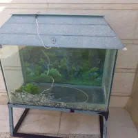 آکواریوم بزرگ به همراه چارپایه آهنی|ماهی|خرمآباد, |دیوار