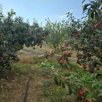 ویلا باغ دارای آب برق گاز در اهر 4200متر|فروش خانه و ویلا|تبریز, |دیوار