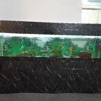 اکواریوم بزرگ