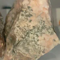 سنگ راف عقیق شجر، فسیل، شماره 1