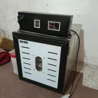 خشک کن میوه و سبزیجات نیمه صنعتی