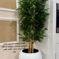 درختچه مصنوعی بامبو (هدیه روز مادر)