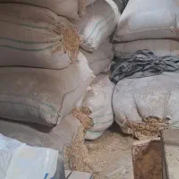 کاه گندم دم ۷۰۰کیلو