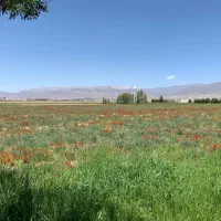 فروش-زمین-دارای-پروانه-درمحدوده-پاستور-و-ایران-مهر