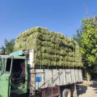 خرید و فروش یونجه خشک
