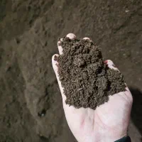 کود ورمی کمپوست کاملا ارگانیک با کیفیت تضمینی|خدمات باغبانی و درختکاری|رشت, باهنر|دیوار