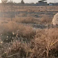 ۳۳۰۰مترباغ در روستای جوکال|فروش زمین و ملک کلنگی|چناران, |دیوار