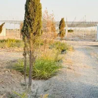 زمینِ پول‌ساز واقعی،ویلاسازی سودآور فوری