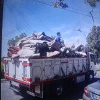 اجاره فرش مجالس