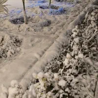 اجاره روزانه باغ