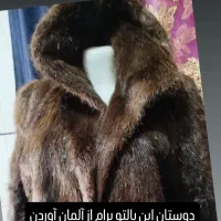 پالتو اسمارابرند
