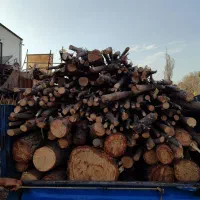 خریدو فروش چوب هیزمی و صنعتی|خدمات باغبانی و درختکاری|کرج, اتمسفر|دیوار