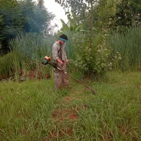 علف تراشی باقیمت مناسب