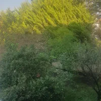 سرایدار  خانه باغ|استخدام سرایداری و نظافت|رویان, |دیوار