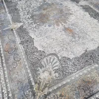 گالری فرش فراشی ۲تا ۹ یک قالیچه ۱در۳ پتینه۱۲۰۰شان|فرش|مشهد, نکاح|دیوار