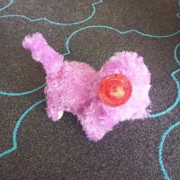 کیف مدرسه|کیف، کفش، کمربند|پلدختر, |دیوار