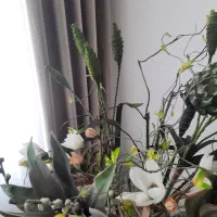 گل وگلدان|گل مصنوعی|صحنه, |دیوار