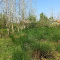 زمین ۴۲۷۷ متری با ۲۰۰ متر مسکونی (در پسیخان)|فروش زمین و ملک کلنگی|رشت, پسیخان|دیوار