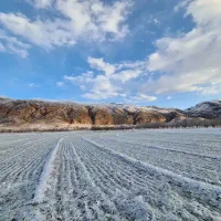 خانه اجاره ای چهار راه زندان