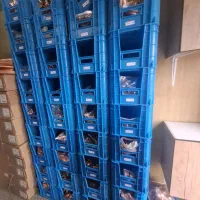 لوله مسی کولرگازی مهراصل بابک باهنر کابل مسی افشان|کولر گازی و فنکوئل|تهران, پامنار|دیوار