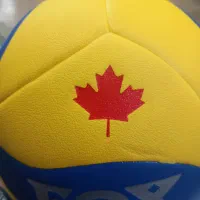 توپ والیبال Fox خارجی به همراه هدیه|ورزشهای توپی|تهران, افسریه شمالی|دیوار