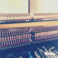 کوک و رگلاژ و کارشناسی تخصصی پیانو|پیانو، کیبورد، آکاردئون|تهران, نیاوران|دیوار