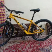 دوچرخه29 اورلورد